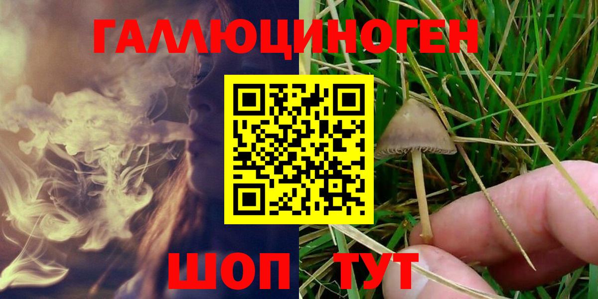 Псилоцибиновые грибы Magic Shrooms  Вход с VPN  Чистополь 